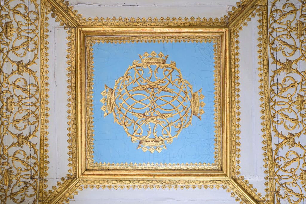 Détail plafond Chateau de Montmort