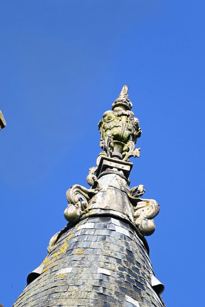 Détail toit Chateau de Montmort