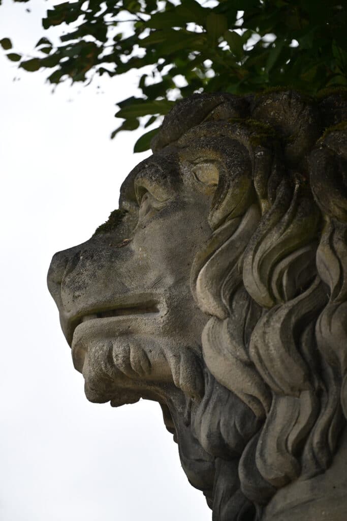 Lion Chateau de Montmort