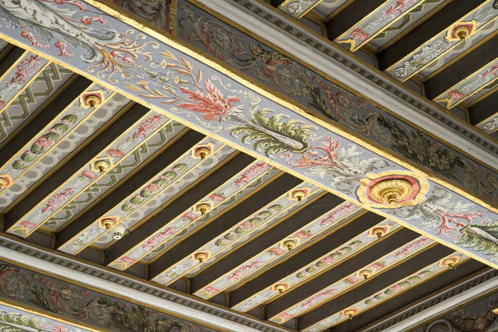 Plafond Chateau de Montmort