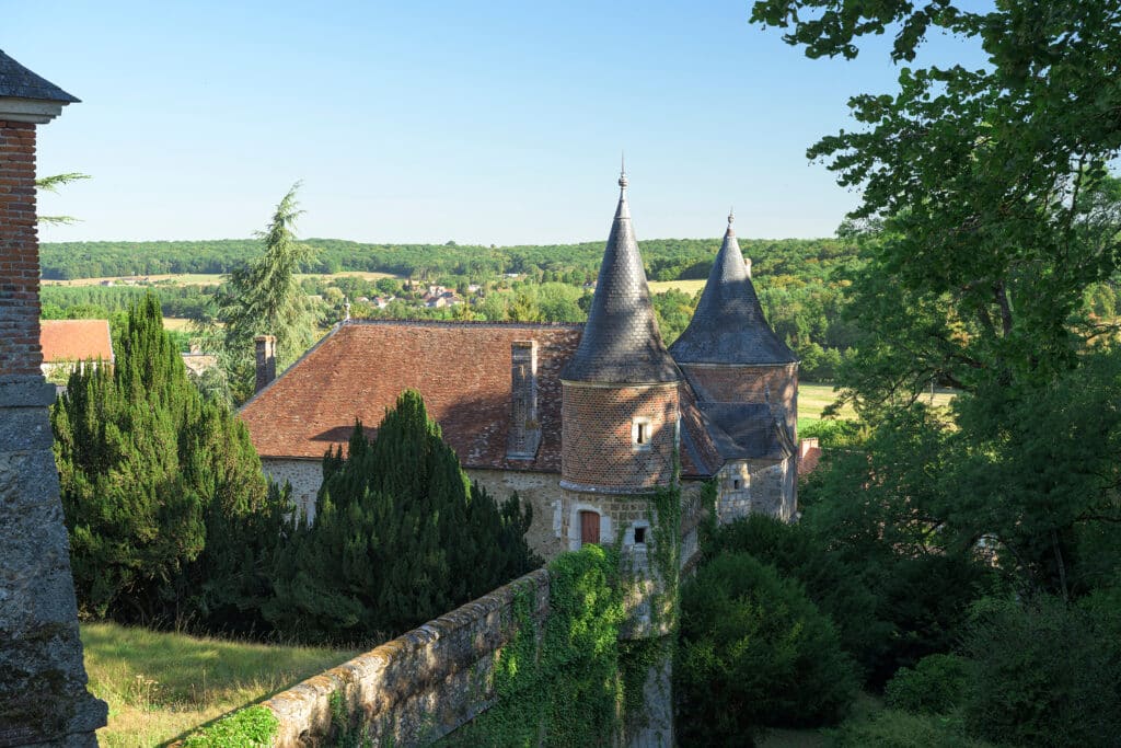Vue depuis les arbres