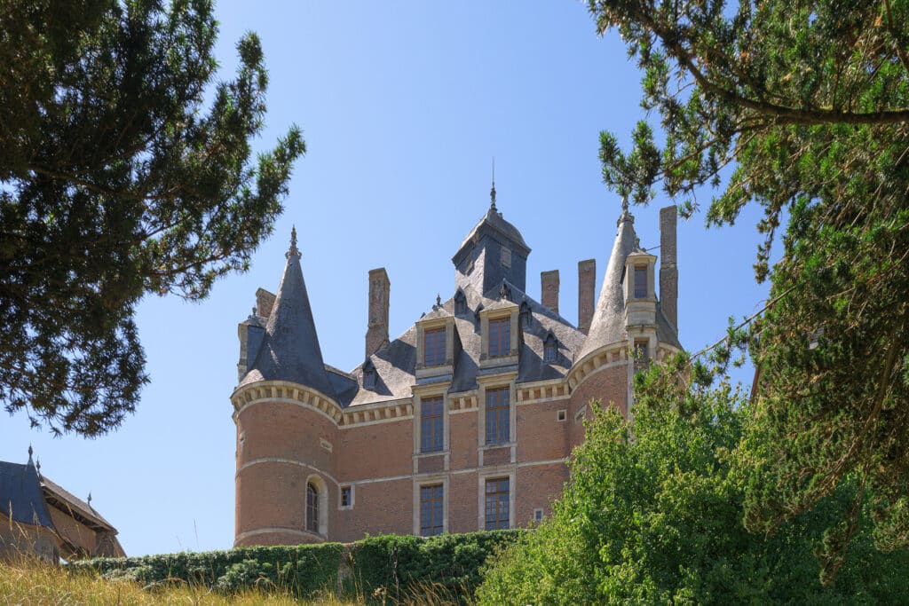 Toits Chateau de Montmort