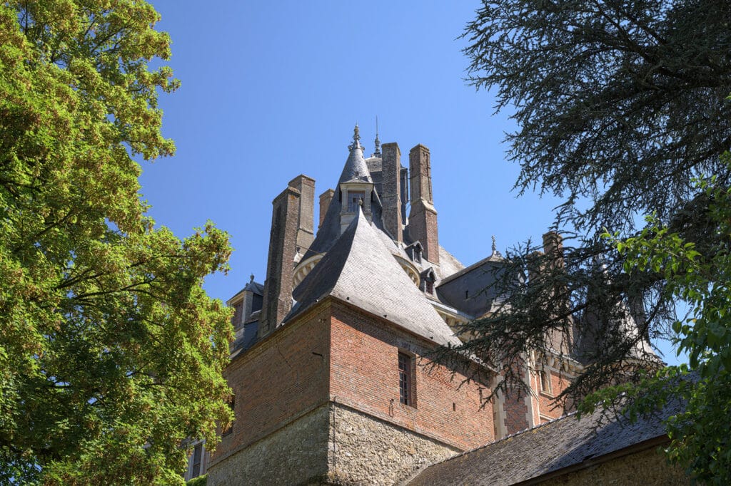 Toitures 2 Chateau de Montmort